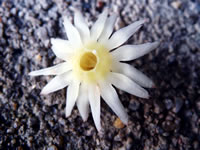 Hình ảnh gia đình